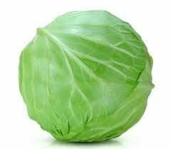 Cabbage - Green