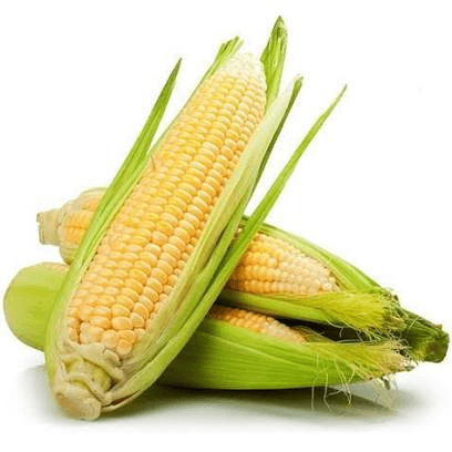 Corn