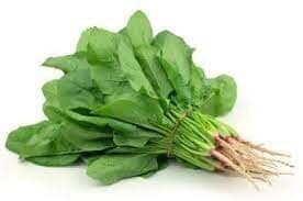 Spinach - English