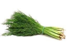 Dill