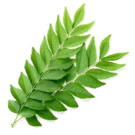 Curry Leaves