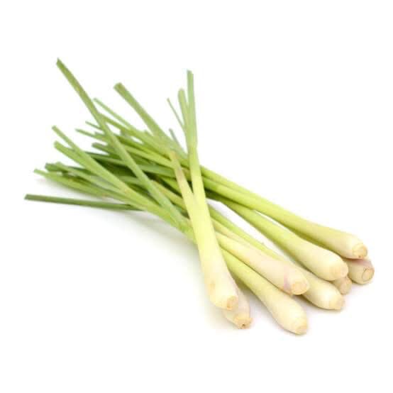 Lemongrass - Stick