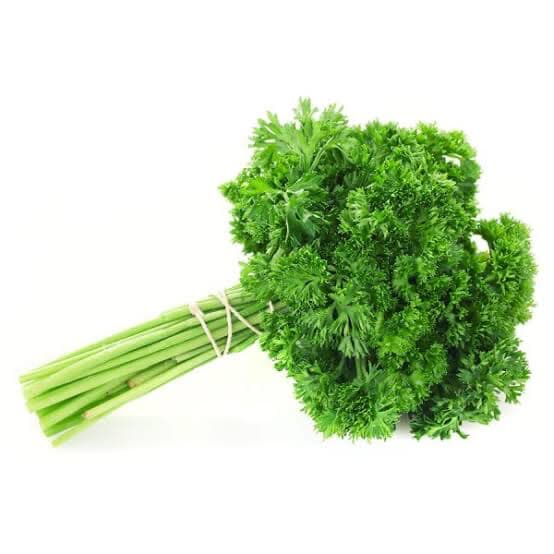 Parsley - Curly
